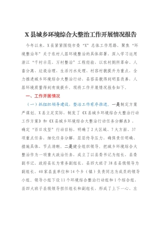 X县城乡环境综合大整治工作开展情况报告