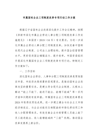 市属国有企业三项制度改革专项行动工作方案