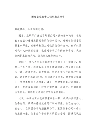 国有企业负责人任职表态发言