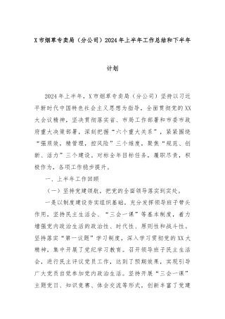 X市烟草专卖局（分公司）2024年上半年工作总结和下半年计划