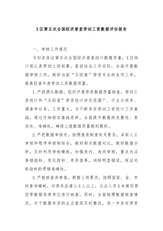 X区第五次全国经济普查劳动工资数据评估报告