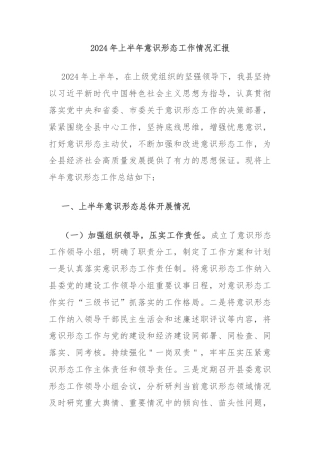 2024年上半年意识形态工作情况汇报