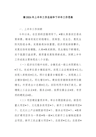 镇2024年上半年工作总结和下半年工作思路