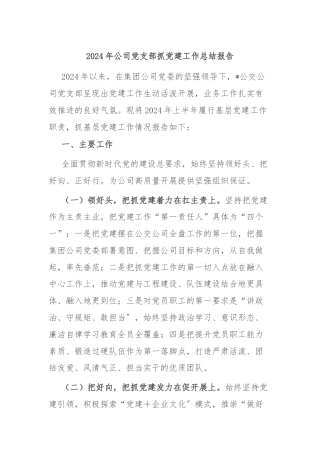 2024年公司党支部抓党建工作总结报告