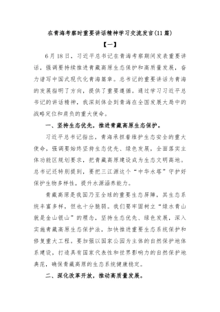 (11篇)在青海考察时重要讲话精神学习交流发言