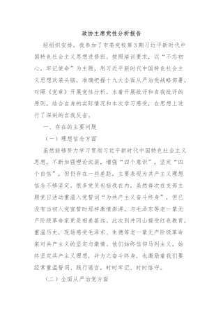 政协主席党性分析报告