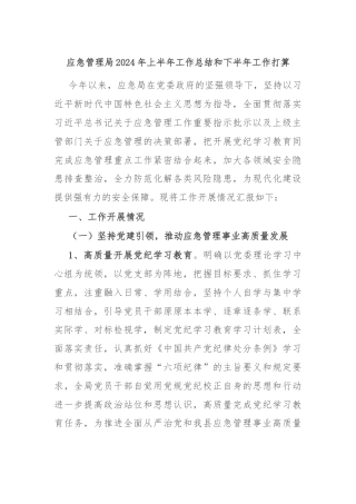 应急管理局2024年上半年工作总结和下半年工作打算