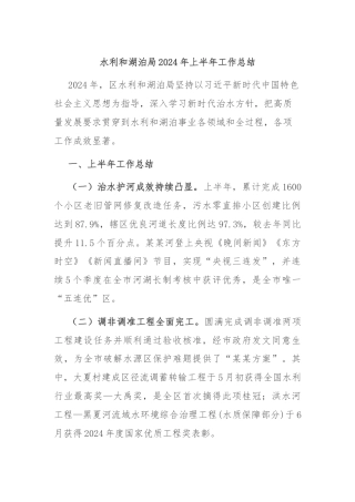 水利和湖泊局2024年上半年工作总结