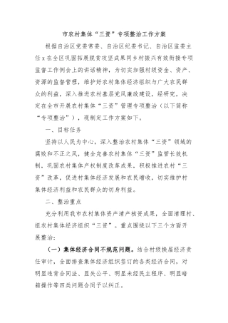 市农村集体“三资”专项整治工作方案