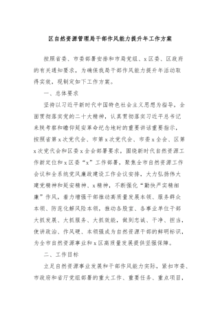 区自然资源管理局干部作风能力提升年工作方案