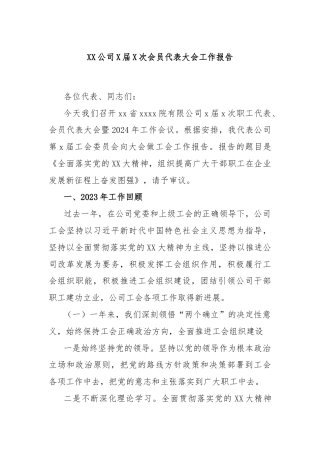 XX公司X届X次会员代表大会工作报告