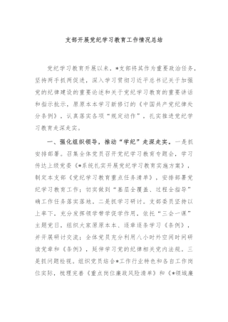 支部开展党纪学习教育工作情况总结