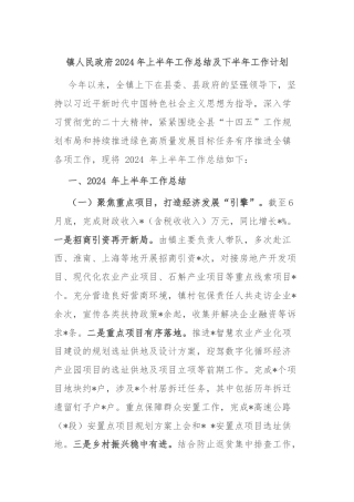 镇人民政府2024年上半年工作总结及下半年工作计划