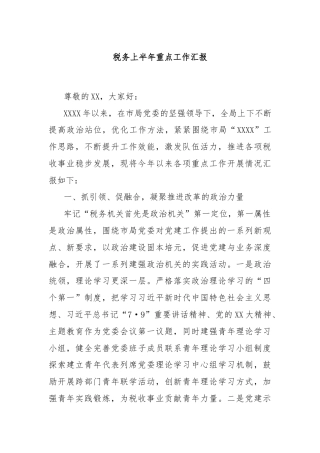 税务上半年重点工作汇报