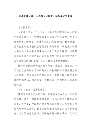 税务党课材料：心怀伟大中国梦，踔厉奋发正青春