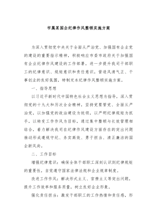 市属某国企纪律作风整顿实施方案