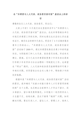 在“共青团与人大代表、政协委员面对面”座谈会上的讲话