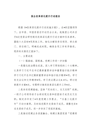 国企改革深化提升行动报告