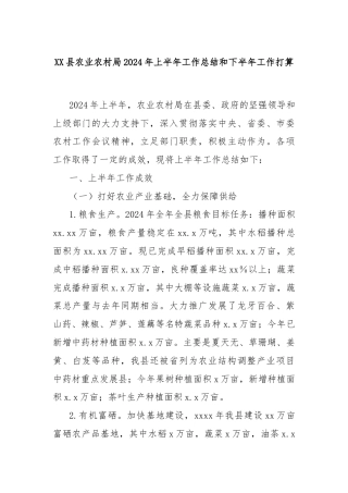 XX县农业农村局2024年上半年工作总结和下半年工作打算
