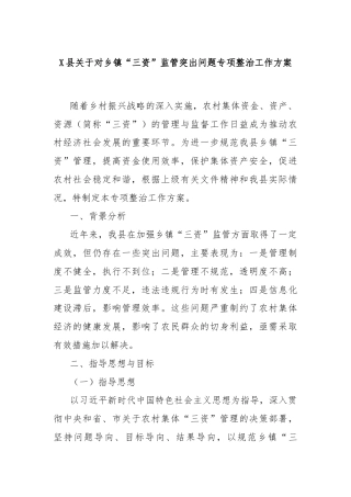 X县关于对乡镇“三资”监管突出问题专项整治工作方案