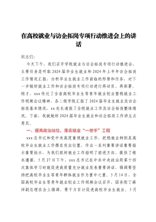在高校就业与访企拓岗专项行动推进会上的讲话