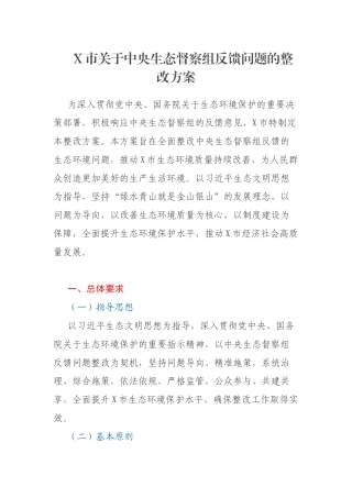 X市关于中央生态督察组反馈问题的整改方案