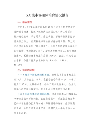 XX镇市场主体培育情况报告