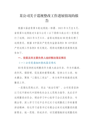 某公司关于巡视整改工作进展情况的报告