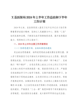 X县医保局2024年上半年工作总结和下半年工作计划