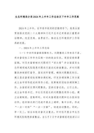 生态环境局分局2024年上半年工作总结及下半年工作思路