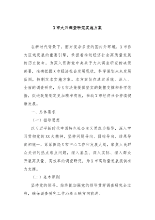 X市大兴调查研究实施方案