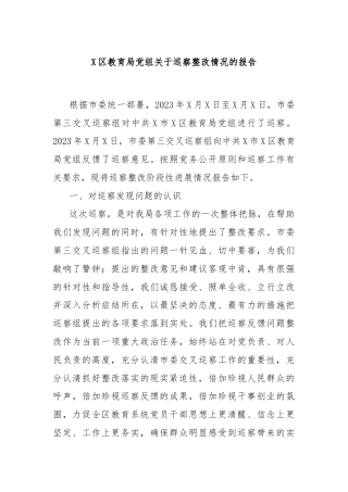 X区教育局党组关于巡察整改情况的报告