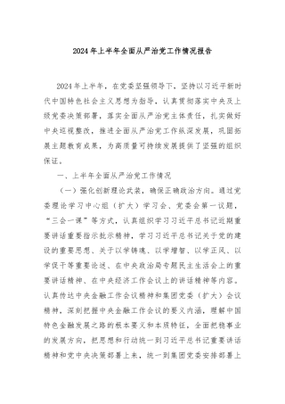 2024年上半年全面从严治党工作情况报告