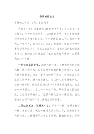 借调感悟发言