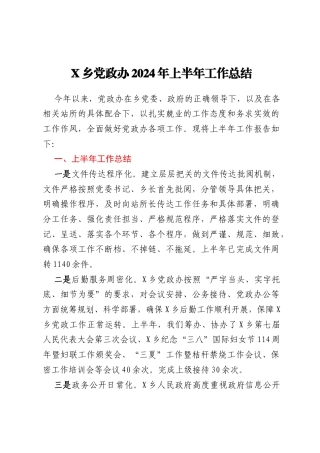 X乡党政办2024年上半年工作总结