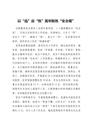 以“迅”应“汛” 筑牢防汛“安全堤”