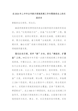 在2024年上半年全市新兴领域党建工作专题推进会上的交流发言