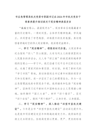 市应急管理局机关党委专职副书记在2024年市机关党务干部素养提升培训班关于延安精神典型发言