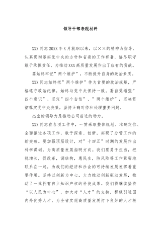 领导干部表现材料