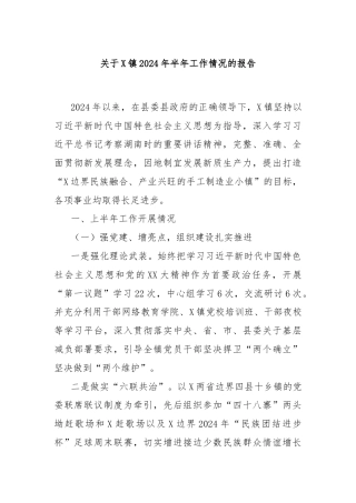 关于X镇2024年半年工作情况的报告