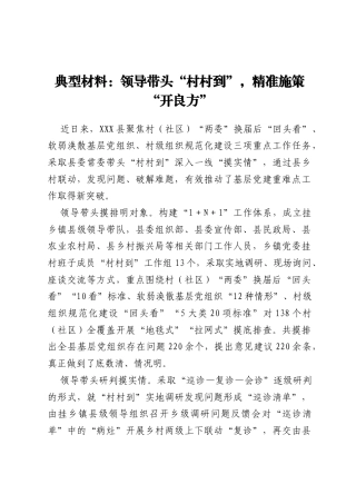 典型材料：领导带头“村村到”，精准施策  “开良方”