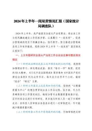 2024年上半年一岗双责情况汇报（国家统计局调查队）