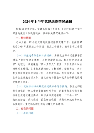 2024年上半年党建巡查情况通报