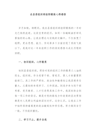 在县委组织部挂职锻炼心得感悟