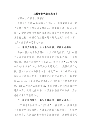 驻村干部代表交流发言