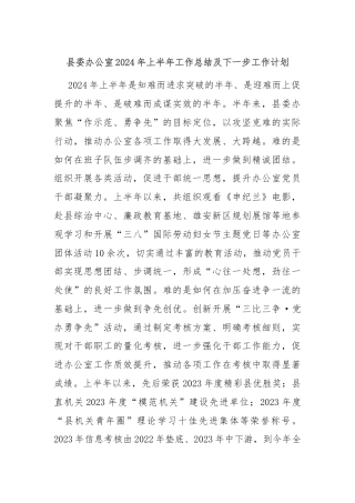 县委办公室2024年上半年工作总结及下一步工作计划