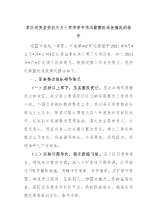 某区纪委监委机关关于某市委专项巡察整改进展情况的报告