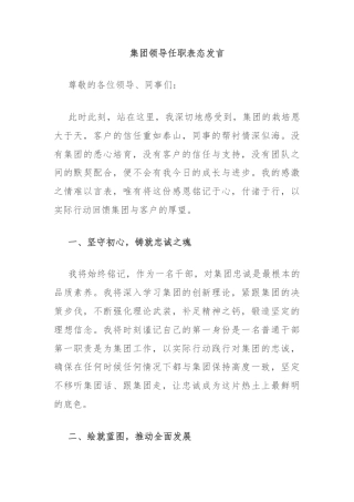 集团领导任职表态发言