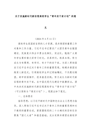 关于实施新时代新征程高校学生“青年实干家计划”的意见