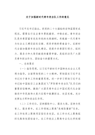 关于加强新时代青年突击队工作的意见